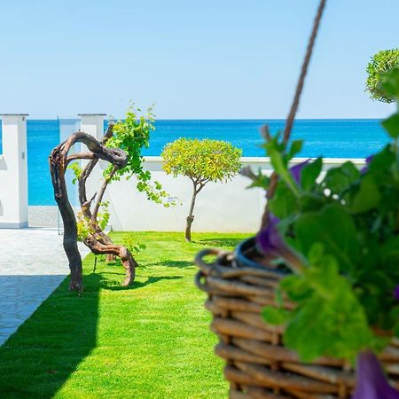 צ'טרארו Mbaccimari B&B מראה חיצוני תמונה