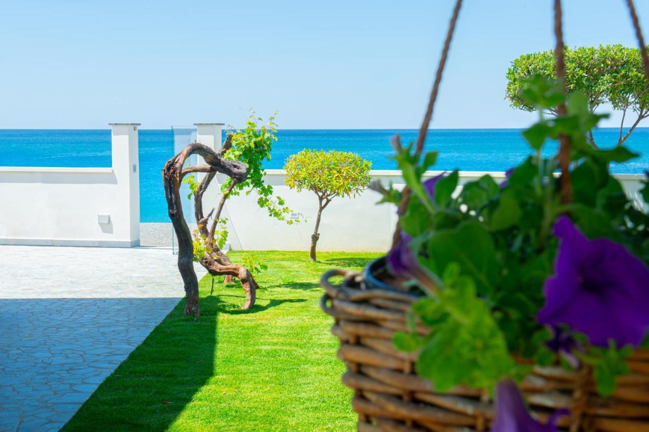 צ'טרארו Mbaccimari B&B מראה חיצוני תמונה